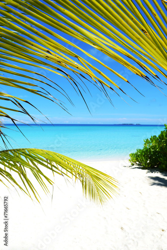 Beach Maldives photo