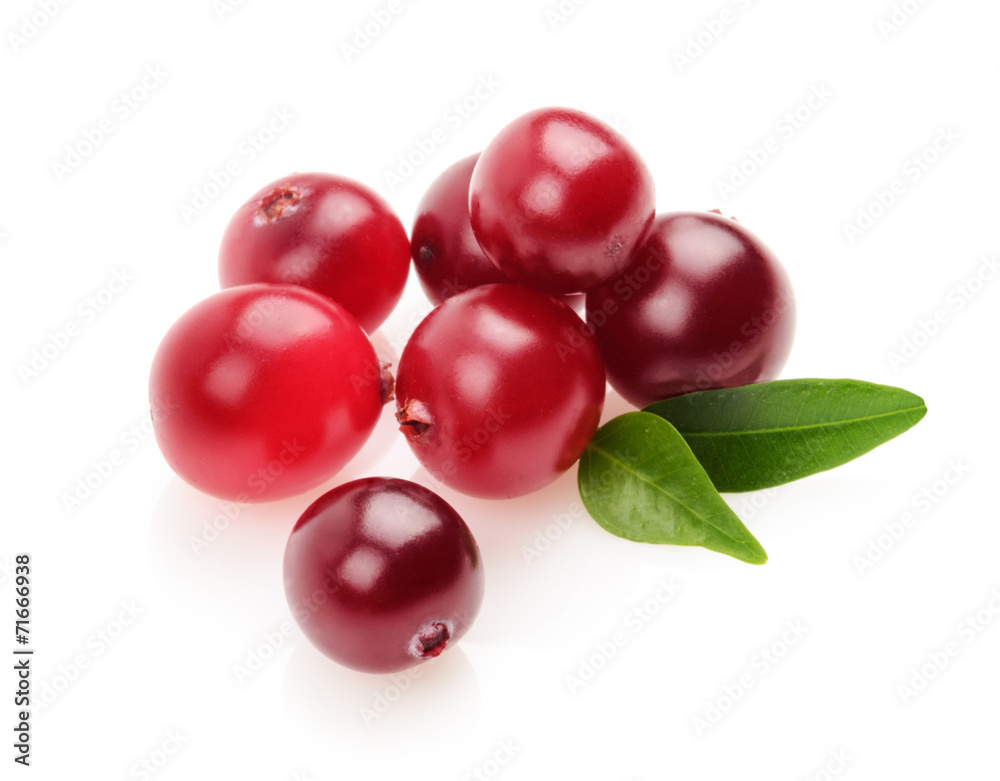 cranberry isolated cranberry isolated