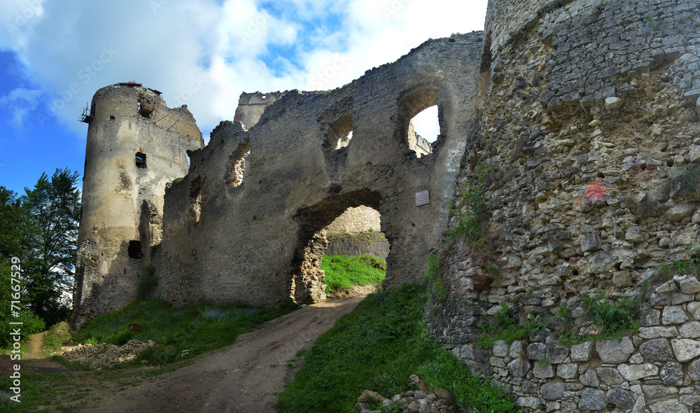 panorama castle ruins