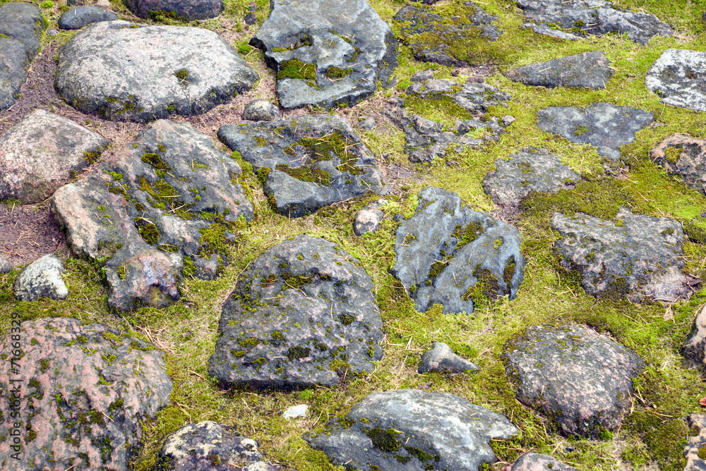 stone wall texture with moss