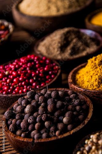 Spices of Indonesia