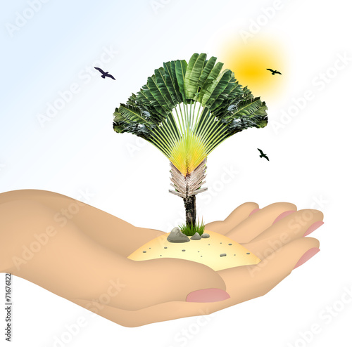 Plant in a hand isolated on white background