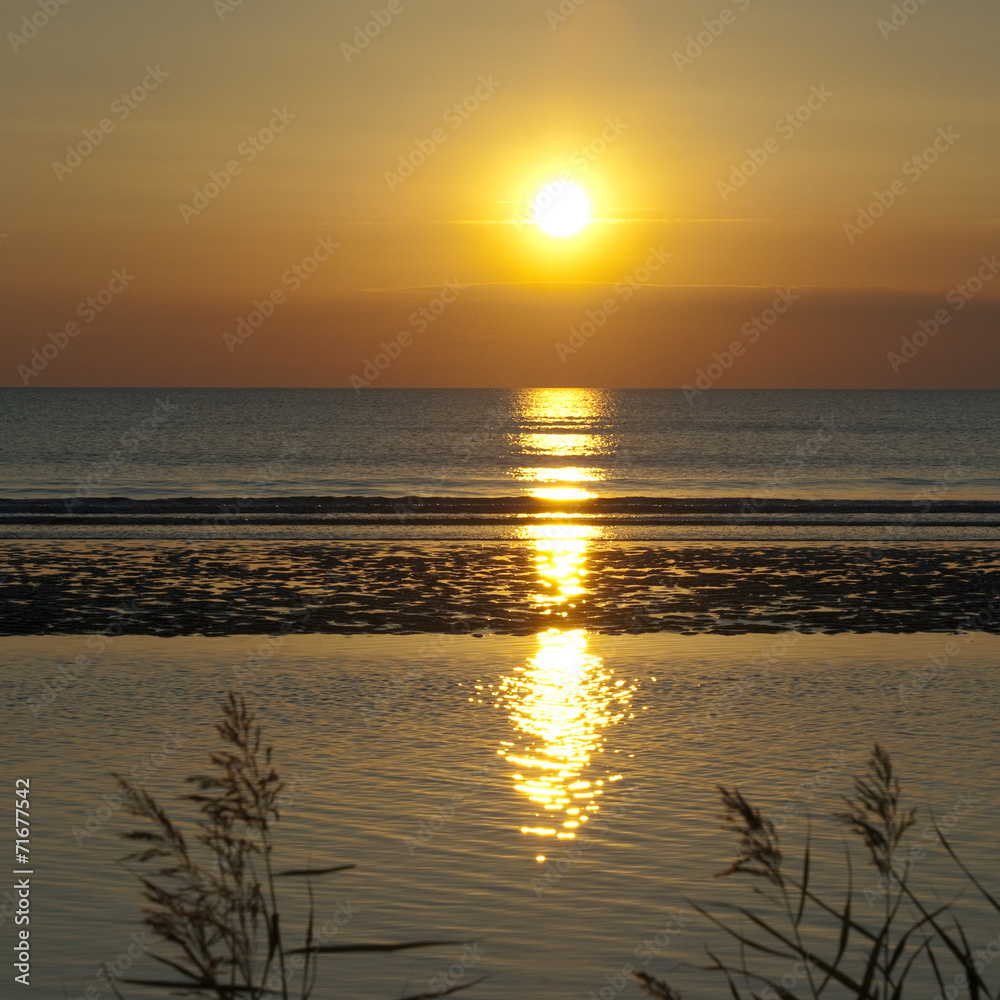 Sonnenuntergang, Gras, Schilf, Siluette, Abendrot, Sonnenuntergang, Gras, Schilf, Siluette, Abendrot,