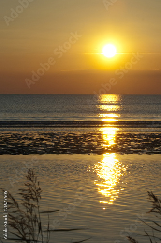 Sonnenuntergang  Gras  Schilf  Siluette  Abendrot 