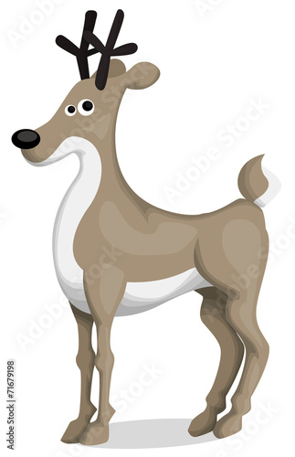 Cartoon deer © lindwa
