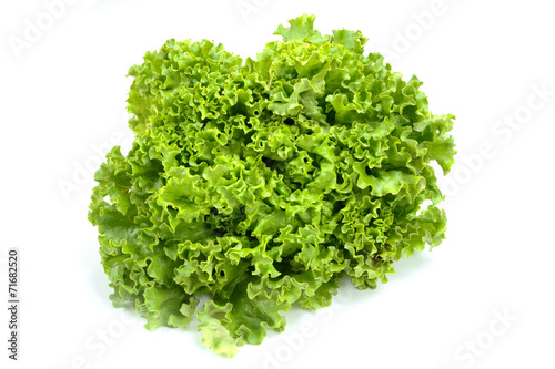 Tableau sur toile batavia