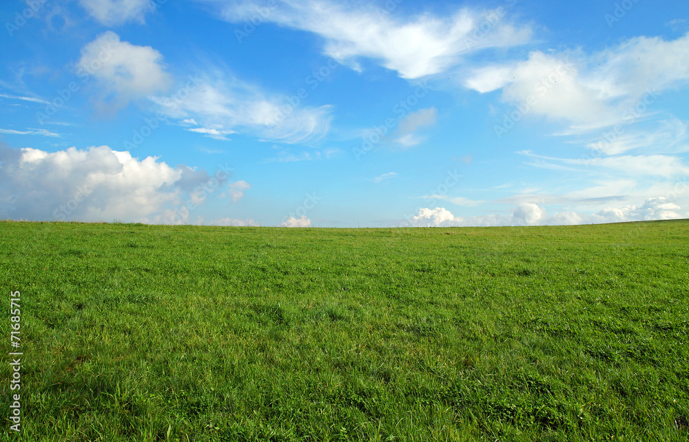 Wiese mit Wolken Naturlandschaft