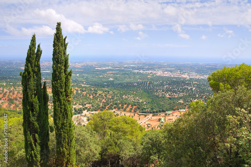 Panoramic view of Fasano. Puglia. Italy.