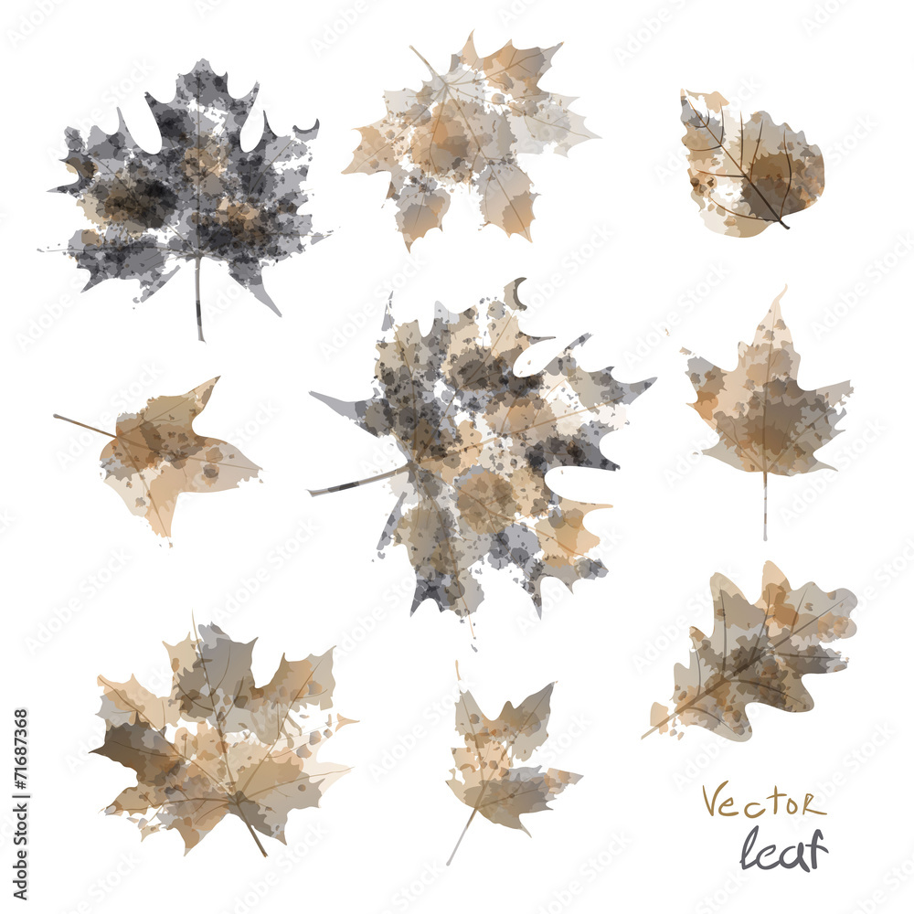 set of silhouettes of maple leaves in watercolor, vector set of silhouettes of maple leaves in watercolor, vector