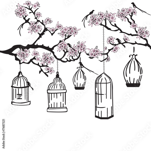 garden with feeders