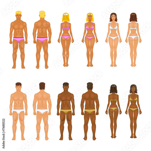 vector young woman and guy in underwear. Body templates