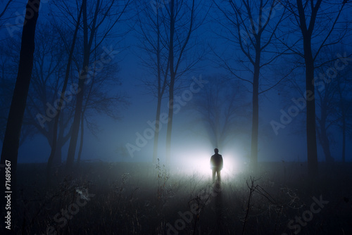 Fototapeta Naklejka Na Ścianę i Meble -  awesome silhouette misty forest at dawn