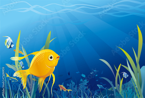 Gold fish in sea, underwater life, seaweeds. Vector