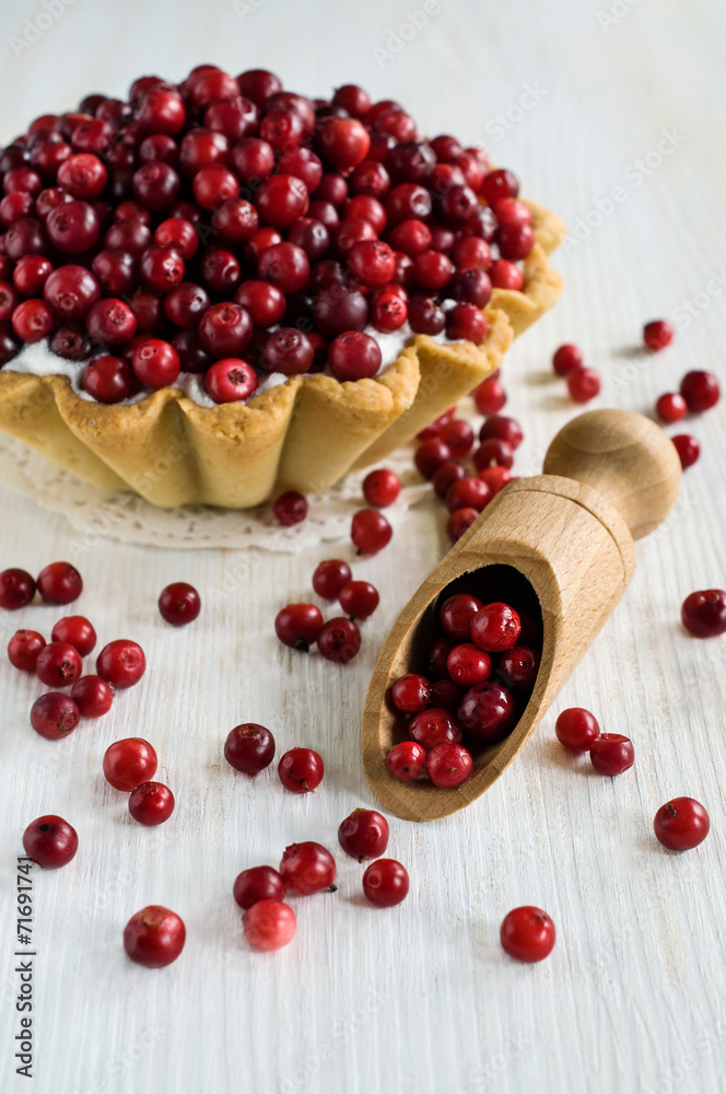 cranberry dessert cranberry dessert