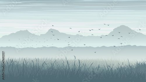Horizontal illustration of misty landscape with birds in sky.