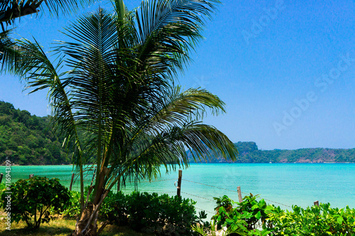 Coconut Getaway Idyllic Coast