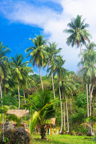 Exotic Paradise Green View © alma_sacra