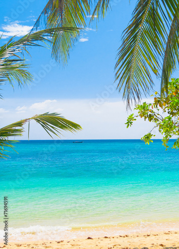 Island Lagoon Palms Overhanging © alma_sacra