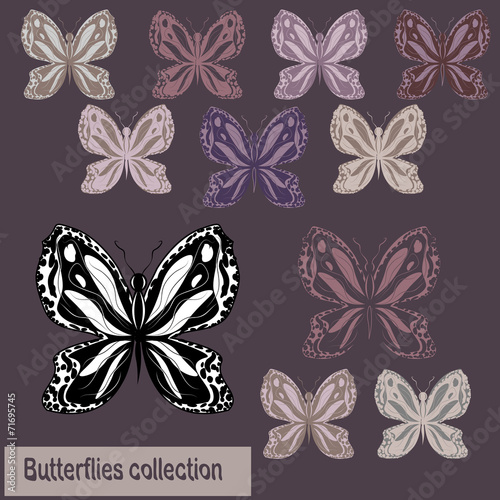 Collection of monochrome and colored butterflies