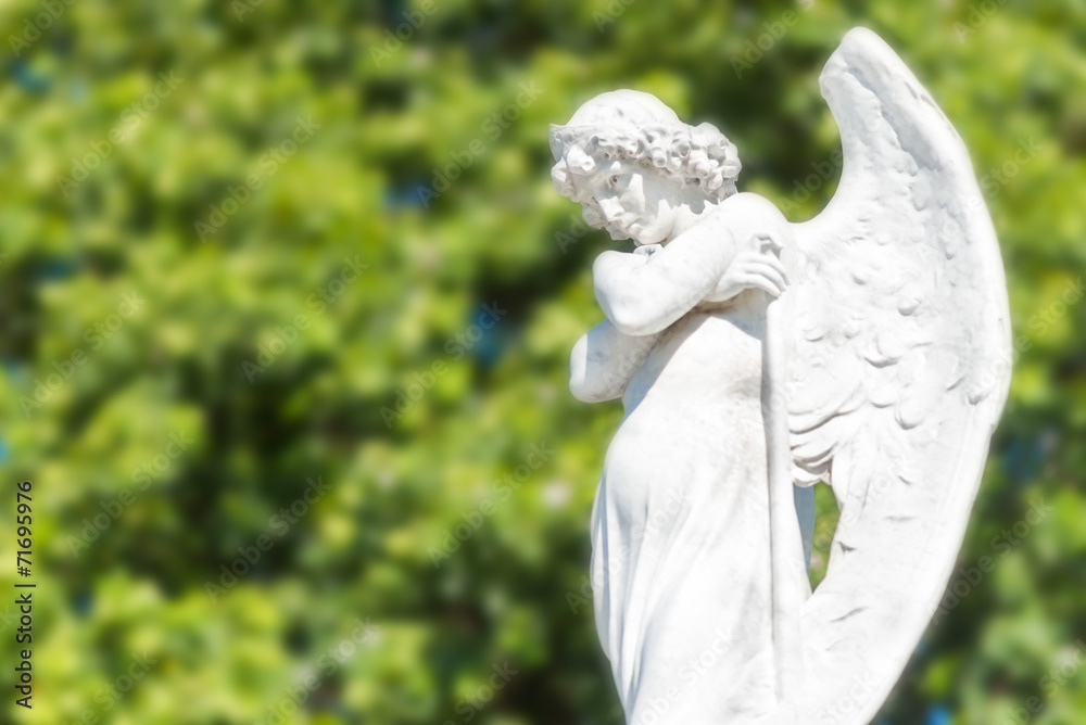 Beautiful angel on a diffused trees background Beautiful angel on a diffused trees background