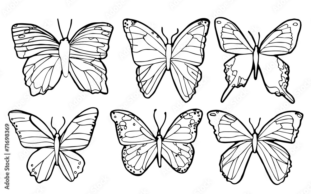 Naklejka Vector of outline of 6 butterflies