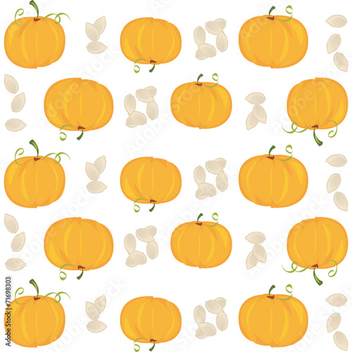 zucca