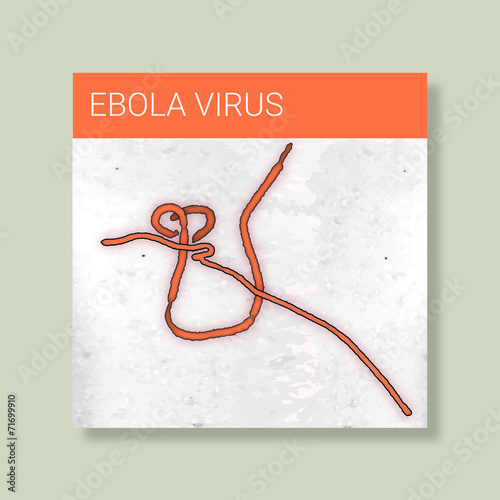 Ebola Virus | Fadenvirus