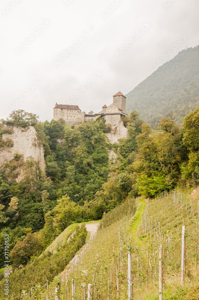Meran, Südtirol, Vinschgau, Schloss Tirol, Weinberge, Italien