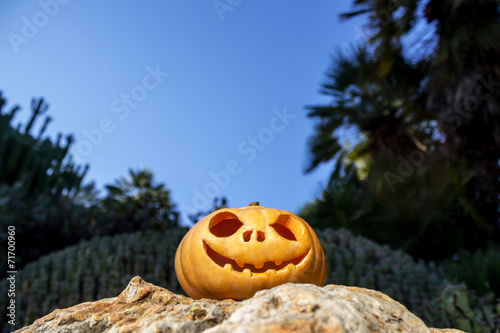 Halloween scary pumpkin with a smile in on a rock © Onionastudio