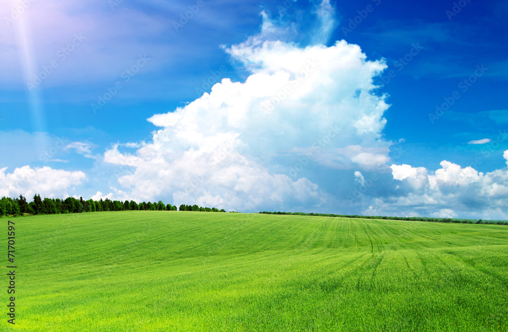 green field green field
