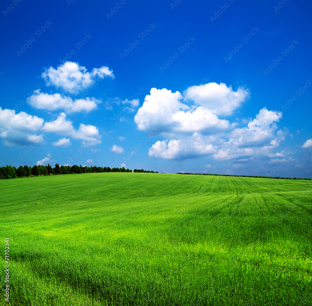 green field green field