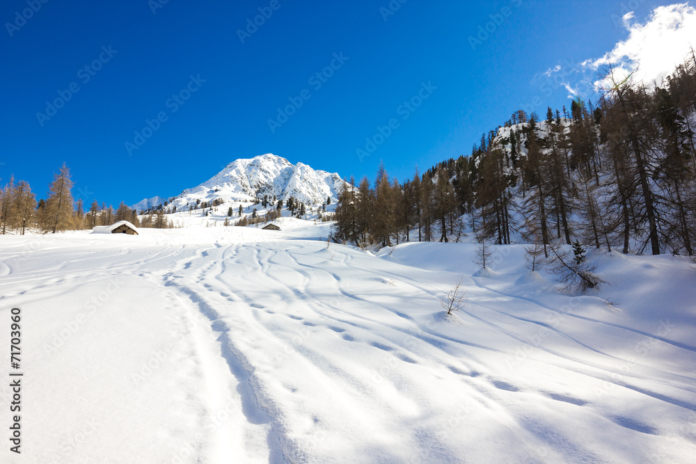 Percorso su neve in montagna d'inverno