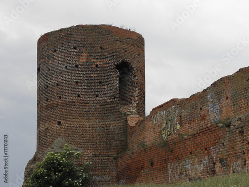 ruins of the castle