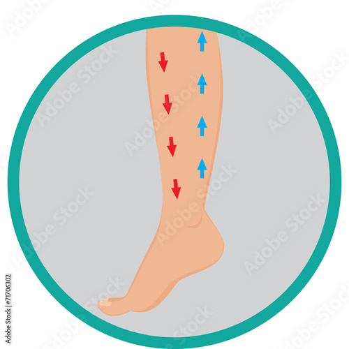 gambe