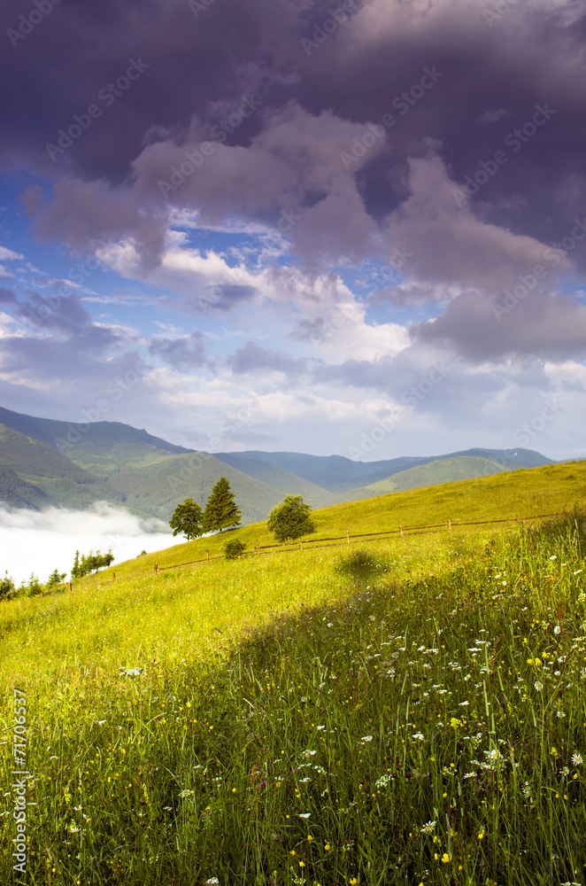 evening mountain plateau landscape (Carpathian, Ukraine) evening mountain plateau landscape (Carpathian, Ukraine)