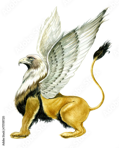 Griffin