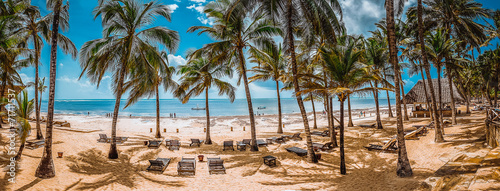 Spiaggia di palme photo