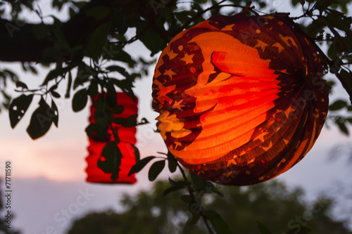 Lampion im Baum, Paper lamp in a tree