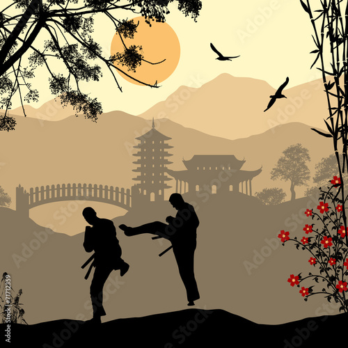 Karate in asian landscape