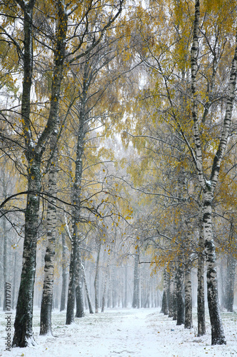 Snowstorm in autumn city park © Elena Kovaleva