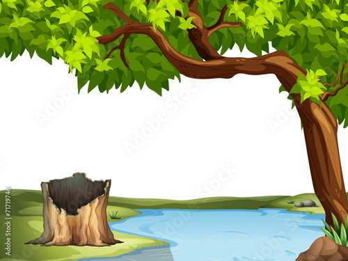 Pond