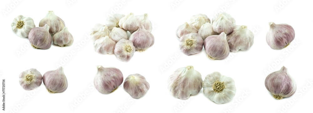 Set of garlic on white background Set of garlic on white background