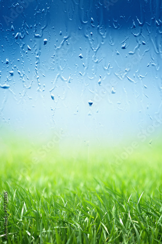 Fototapeta Naklejka Na Ścianę i Meble -  Green grass, rainy day