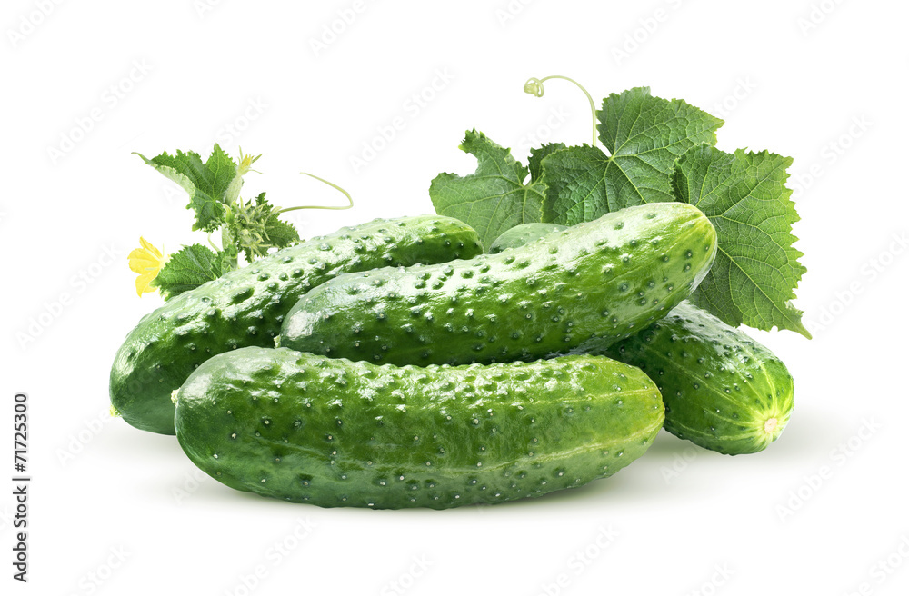 Cucumber group and leaves isolated on white - obrazy, fototapety, plakaty 