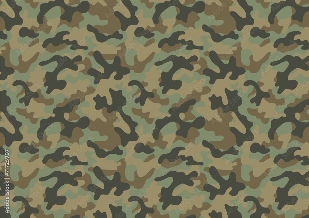 Camouflage seamless pattern