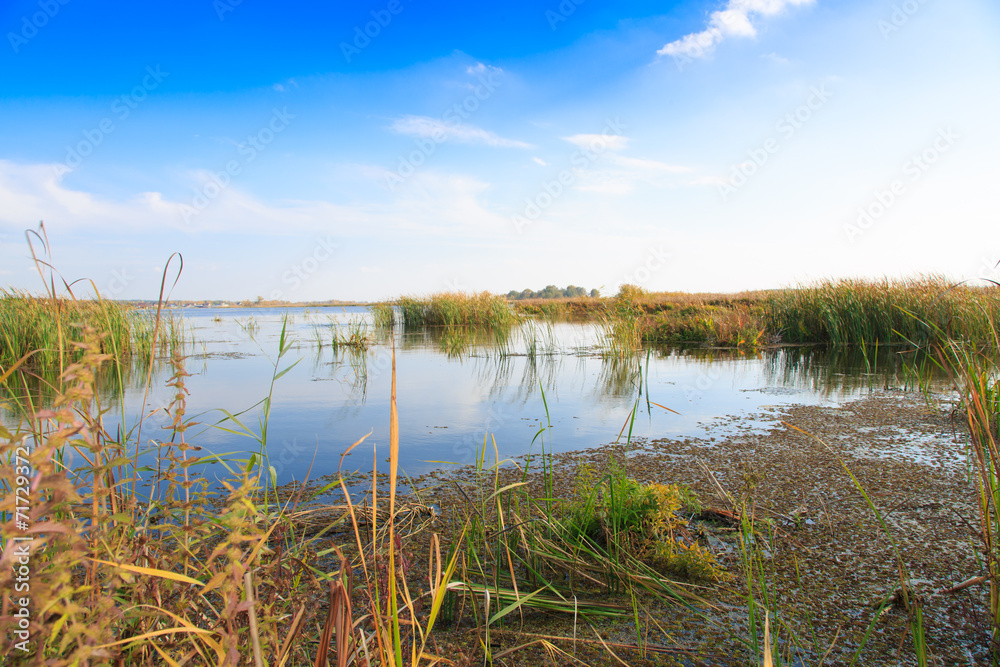 beautiful large lake with reeds beautiful large lake with reeds