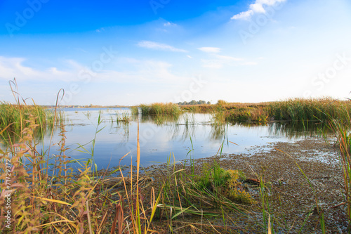 beautiful large lake with reeds