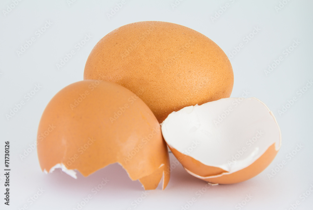 The egg and eggshell isolated on white background The egg and eggshell isolated on white background