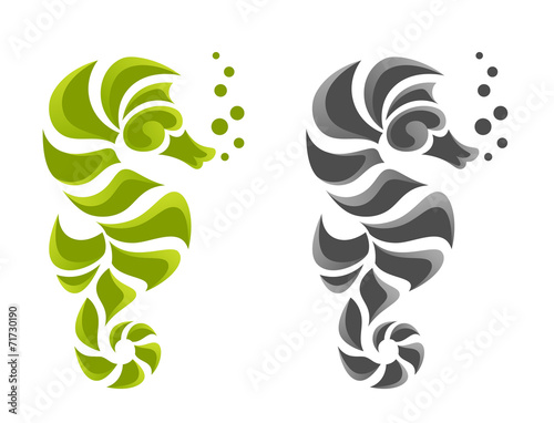Hippocampus