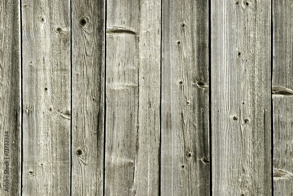 Fototapeta premium The old wood texture with natural patterns